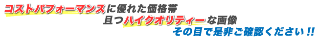 コストパフォーマンスに優れた価格帯且つハイクオリティーな画像をその目で是非ご確認ください!!